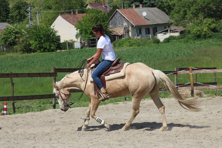 kerecsenyi